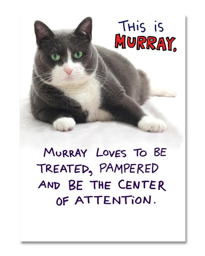 THIS IS MURRAY