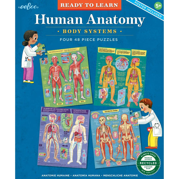 READY TO LEARN HUMAN ANATOMY 4 X 48 PIECE