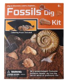 DIG AND DISCOVER FOSSILS DIG KIT