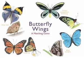 BUTTERFLY WINGS MATCHING GAME