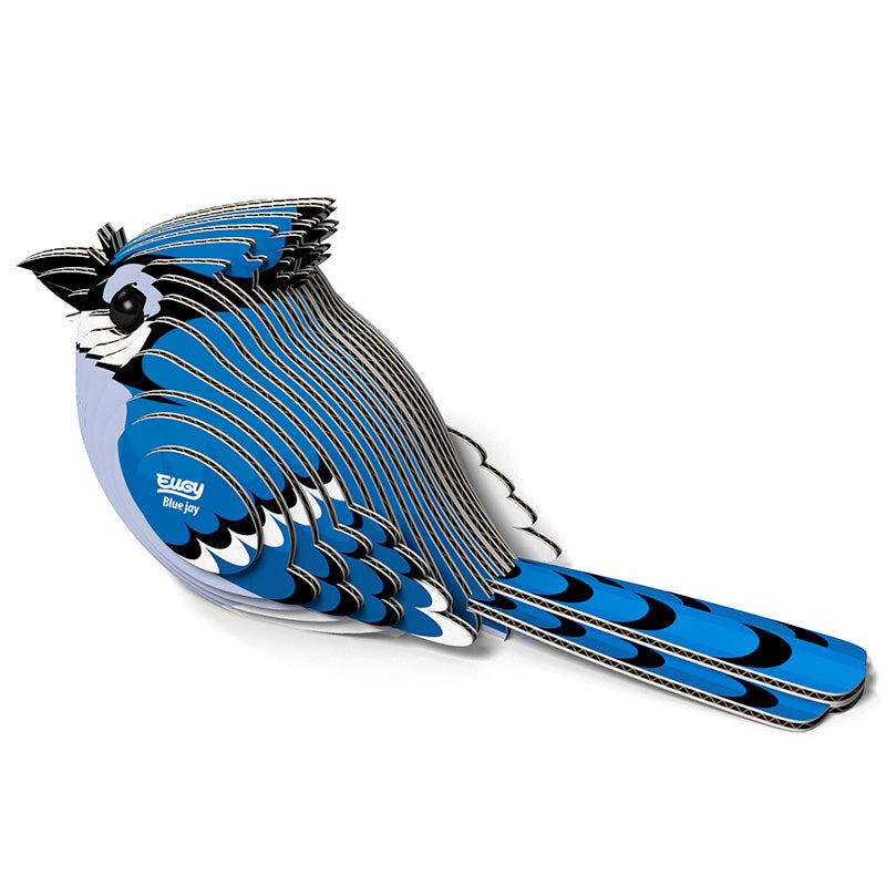 EUGY BLUE JAY EUGY2