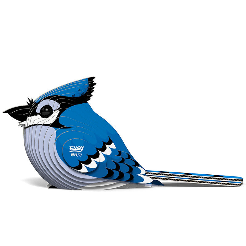 EUGY BLUE JAY EUGY2