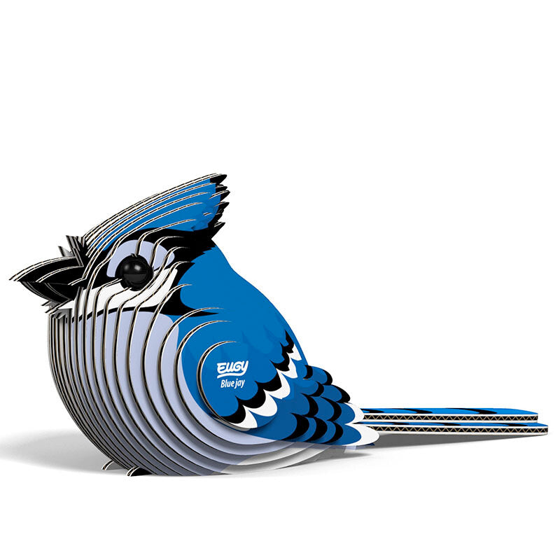 EUGY BLUE JAY EUGY2