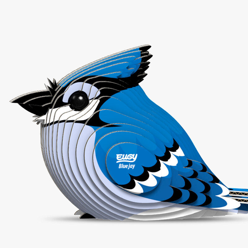 EUGY BLUE JAY EUGY2