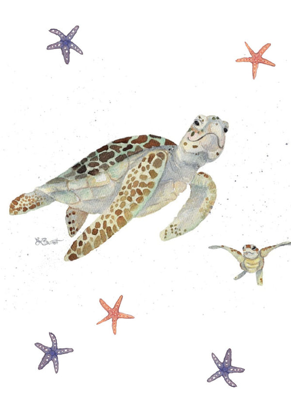 TAS SEA TURTLE